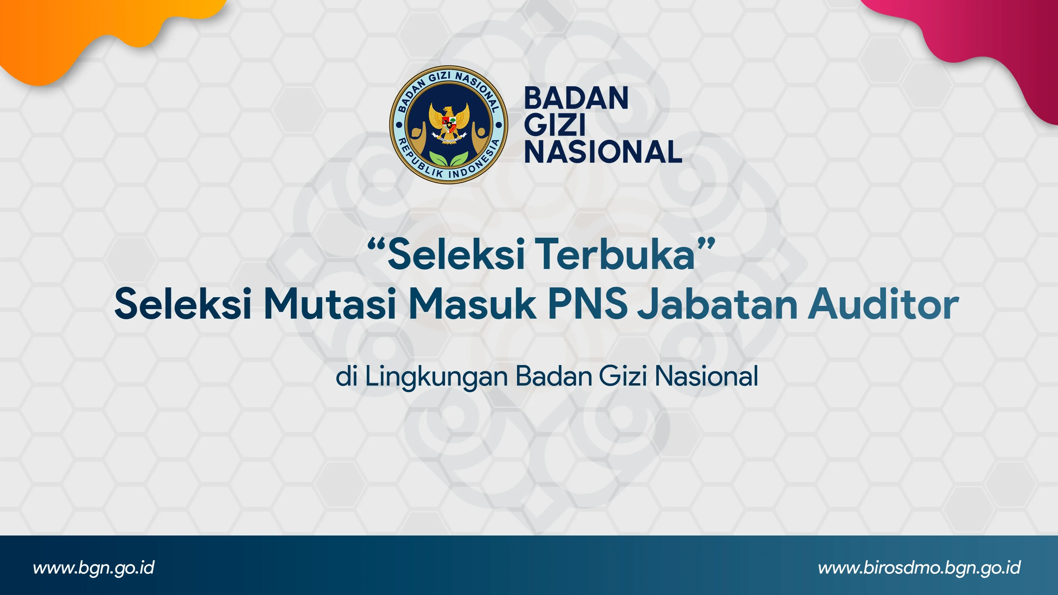 Seleksi Terbuka - Seleksi Mutasi Masuk PNS Jabatan Auditor di Lingkungan Badan Gizi Nasional Aceh Tamiang
